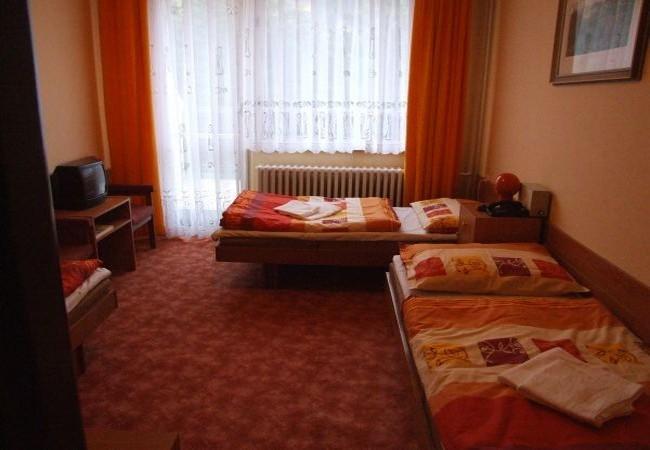 Hotel Petr Bezruc Frýdlant nad Ostravicí Kamer foto